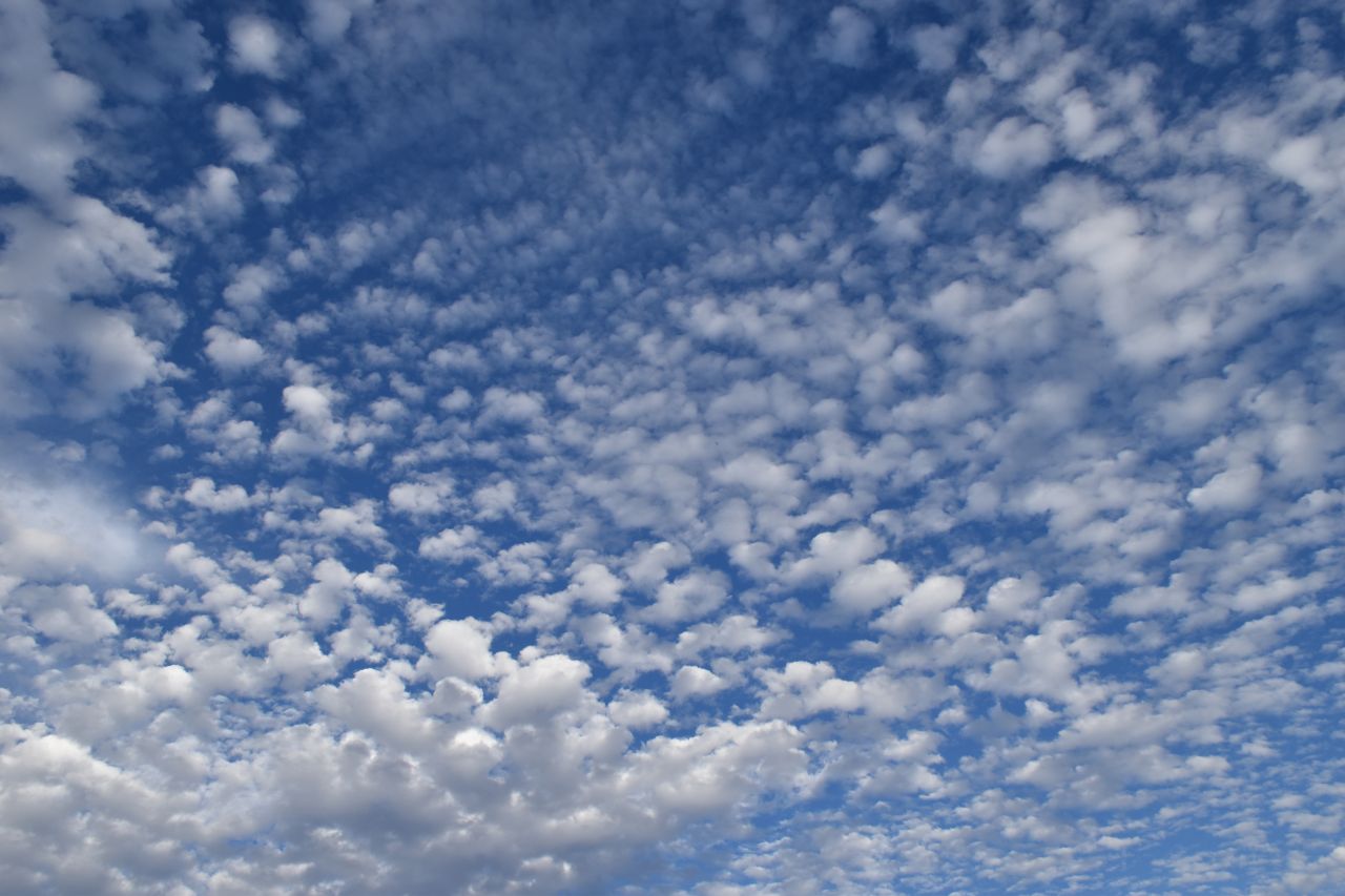 Altokumulus-Wolken