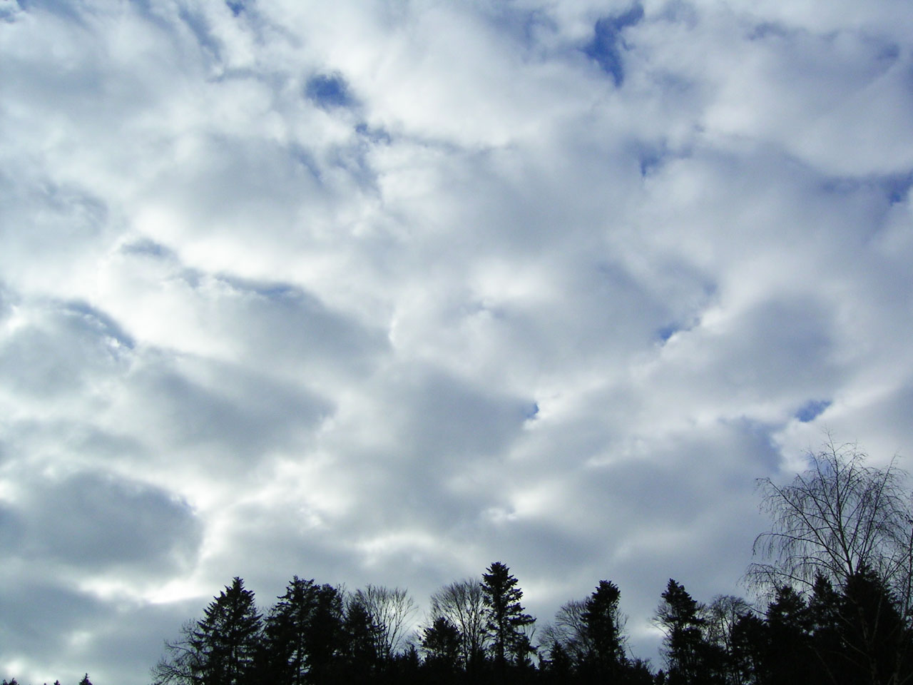 Stratocumulus-Wolken